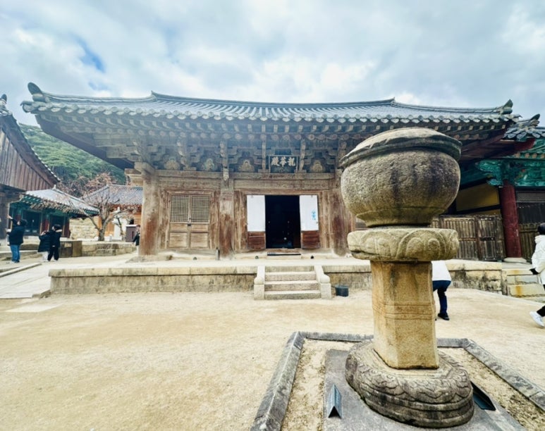 용두구제 이미지