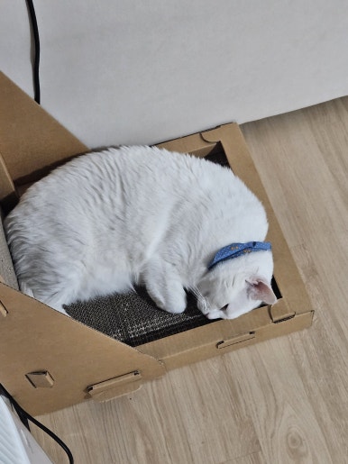 네일리리 이미지