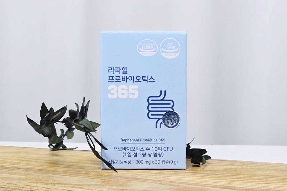 라파힐 이미지