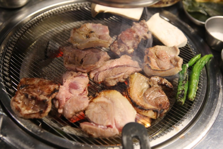 빽고기 이미지