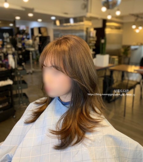살롱드다온 이미지