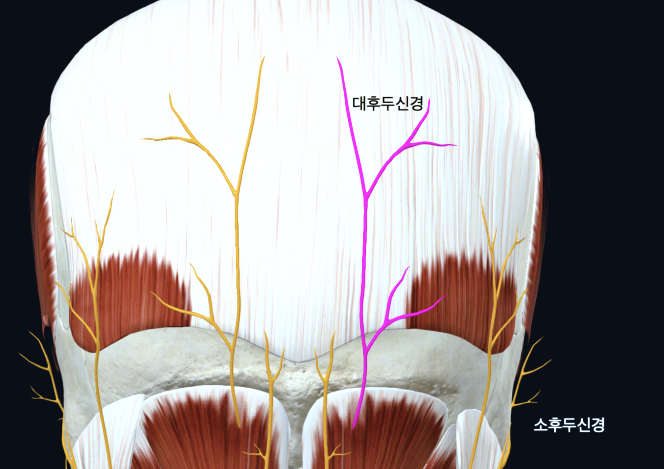 두손정성한의원 이미지