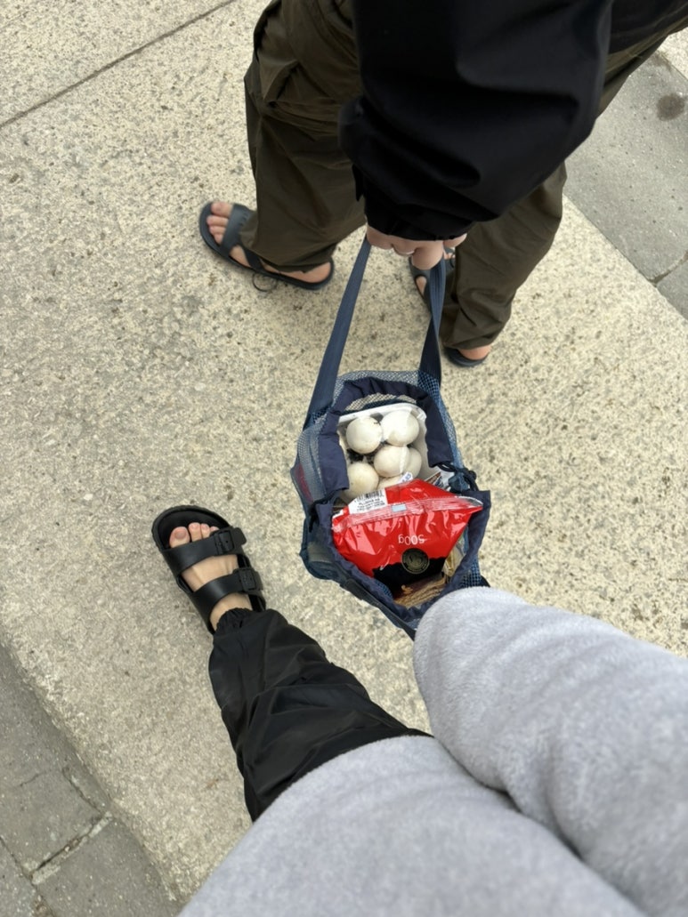 두달팽이 이미지