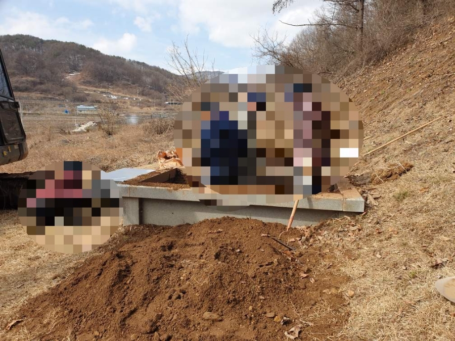 고인돌상조 이미지