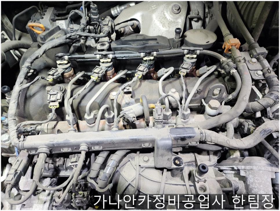 가나안크리닝 이미지