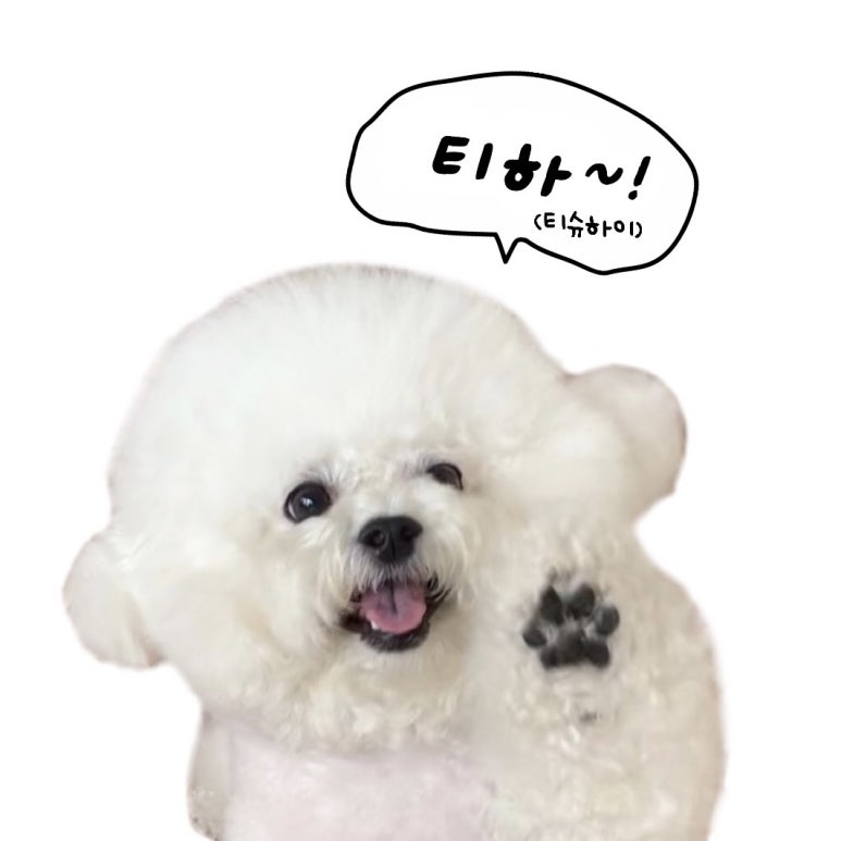 씨씨피스튜디오 이미지