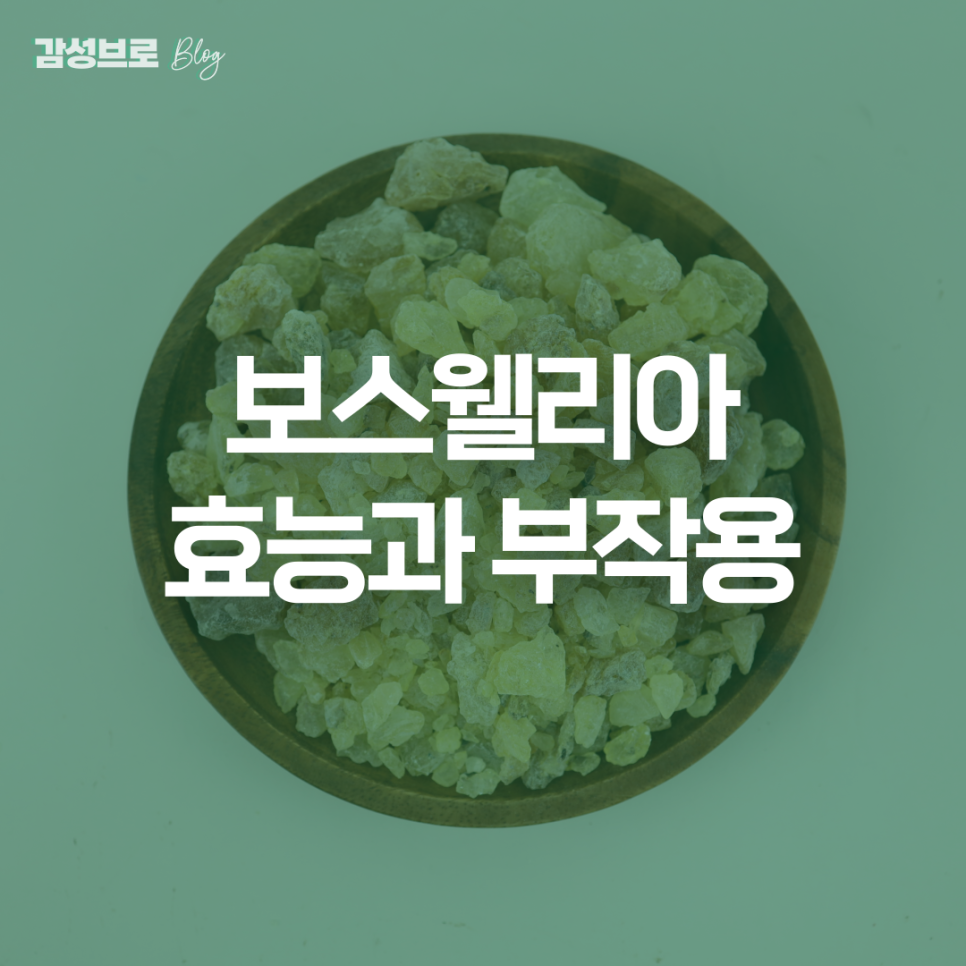 산두식품 이미지