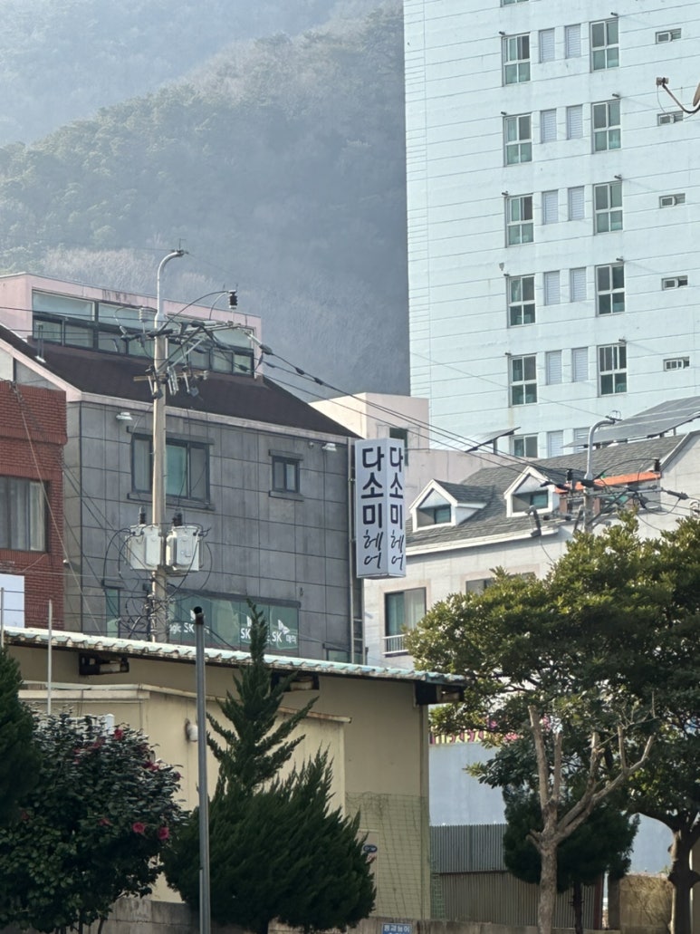 다소미헤어 이미지