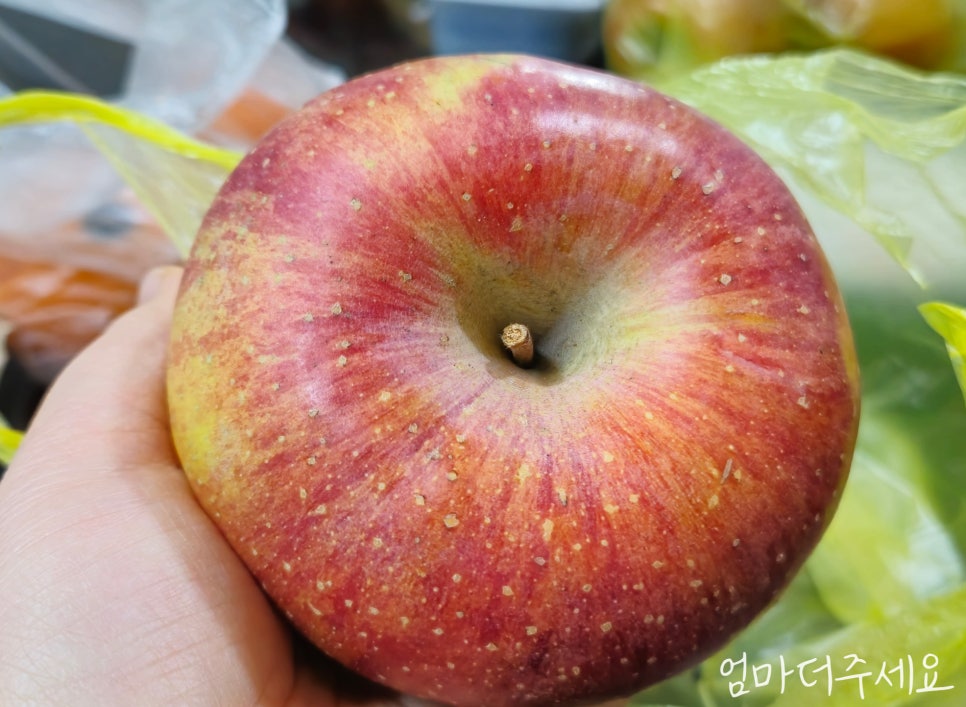 청솔마트 이미지