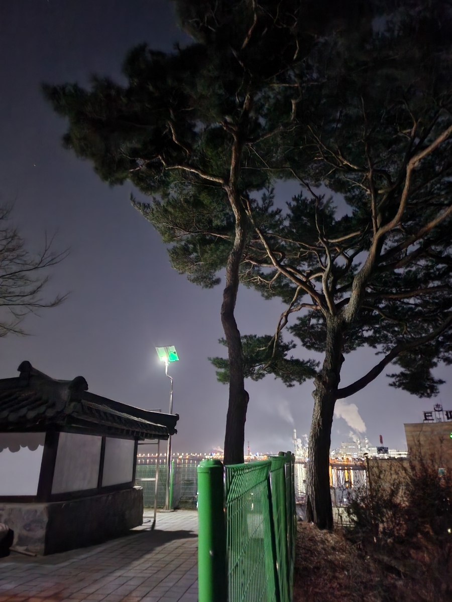 선주당주 이미지