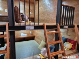 놀숲 송파구청점 이미지