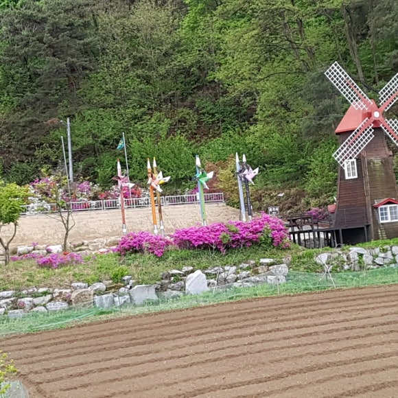 피끝마을녹색농촌체험마을 이미지