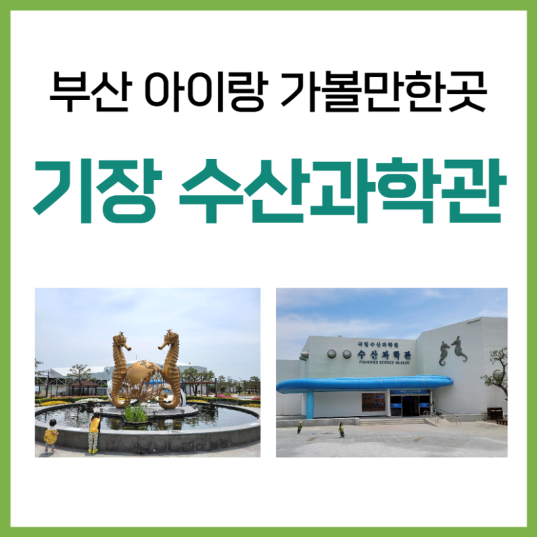 기장수산 이미지