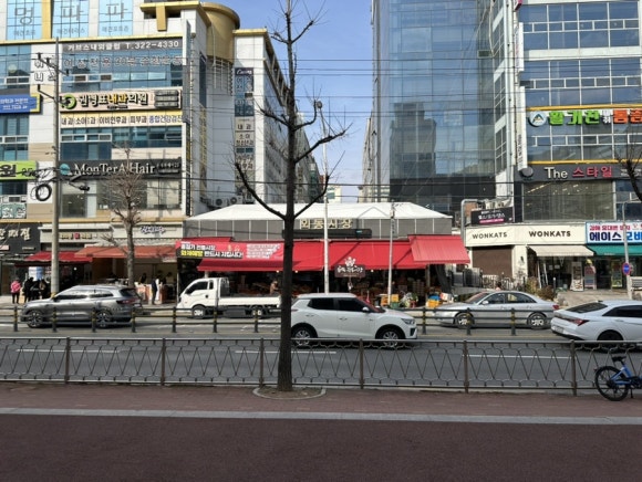 외동채소 이미지