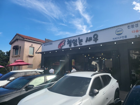 철없는 새우 이미지