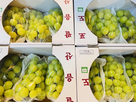 제일유통 이미지
