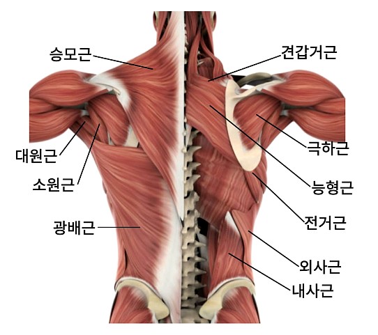 크러쉬짐 이미지