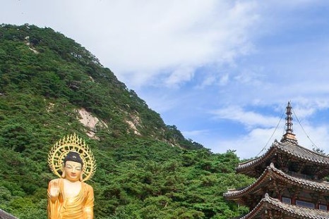 주식회사 마리 이미지