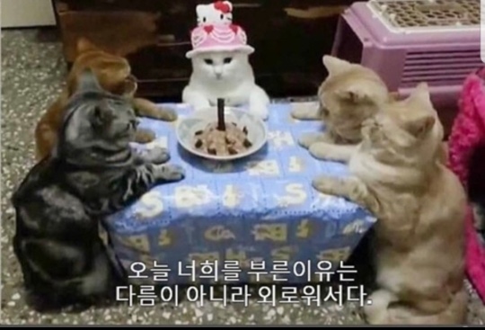 뜨개이야기 이미지