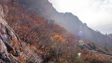 주식회사 마리 이미지