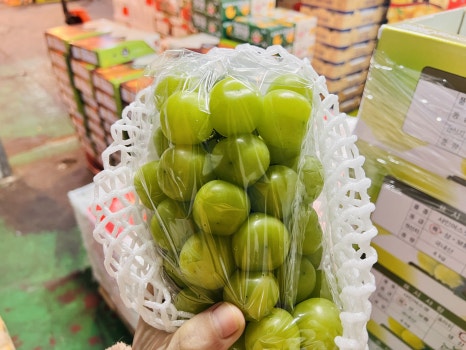 만나유통과일 이미지