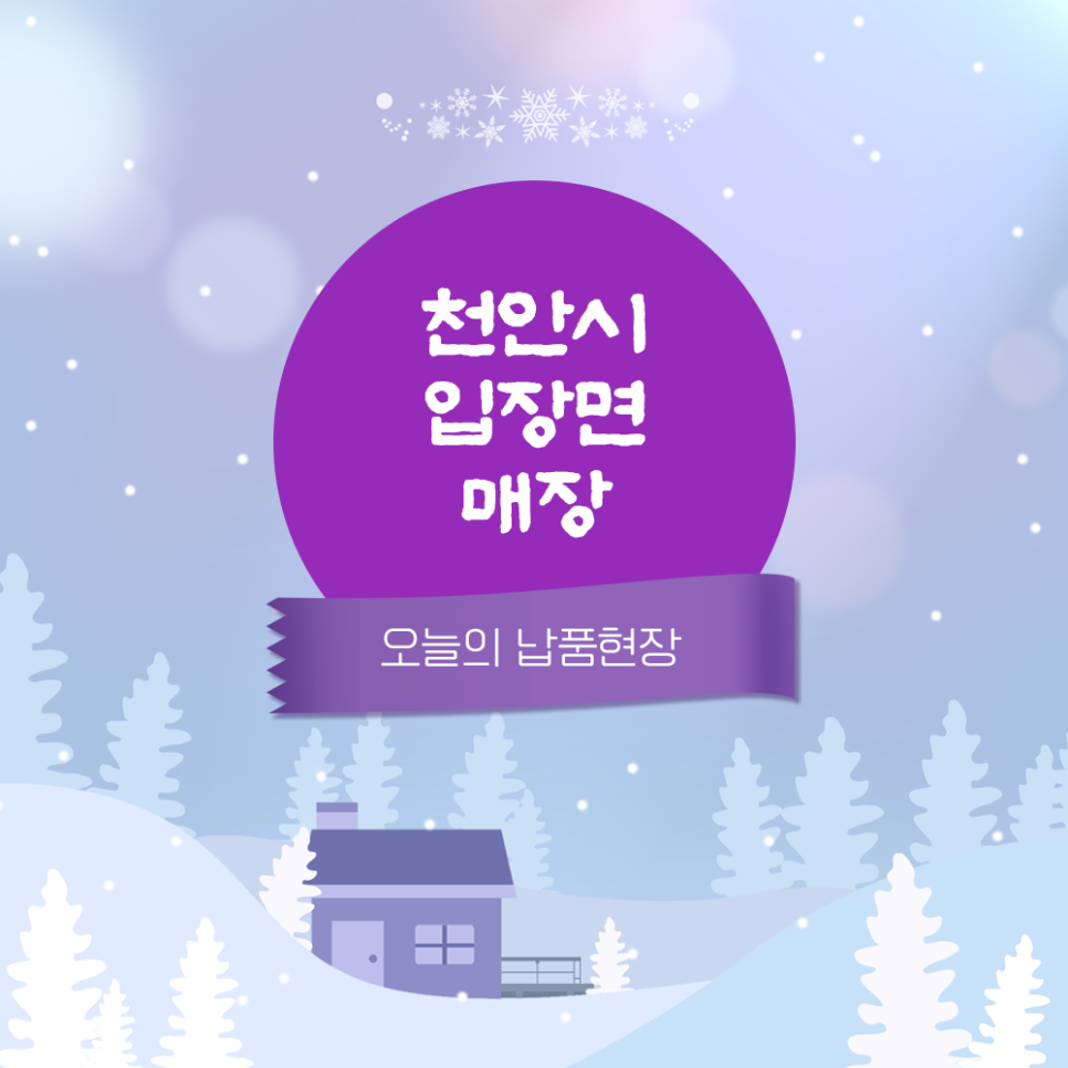 테라미장 이미지