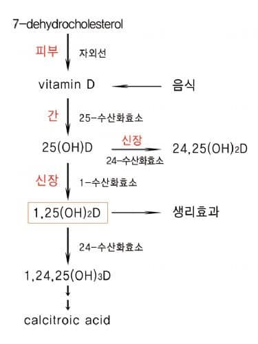 비타민수산 이미지