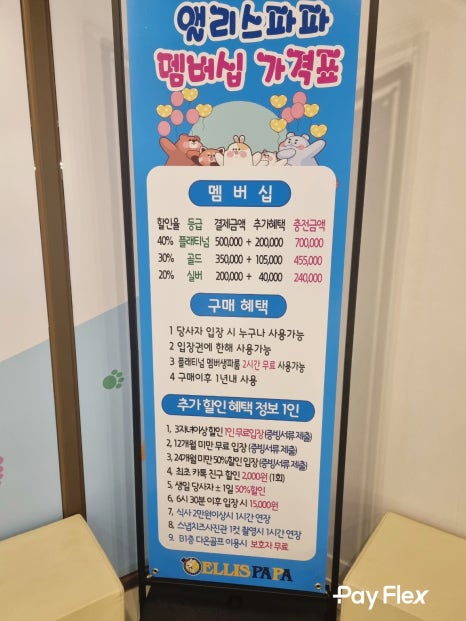 앨리스파파 이미지