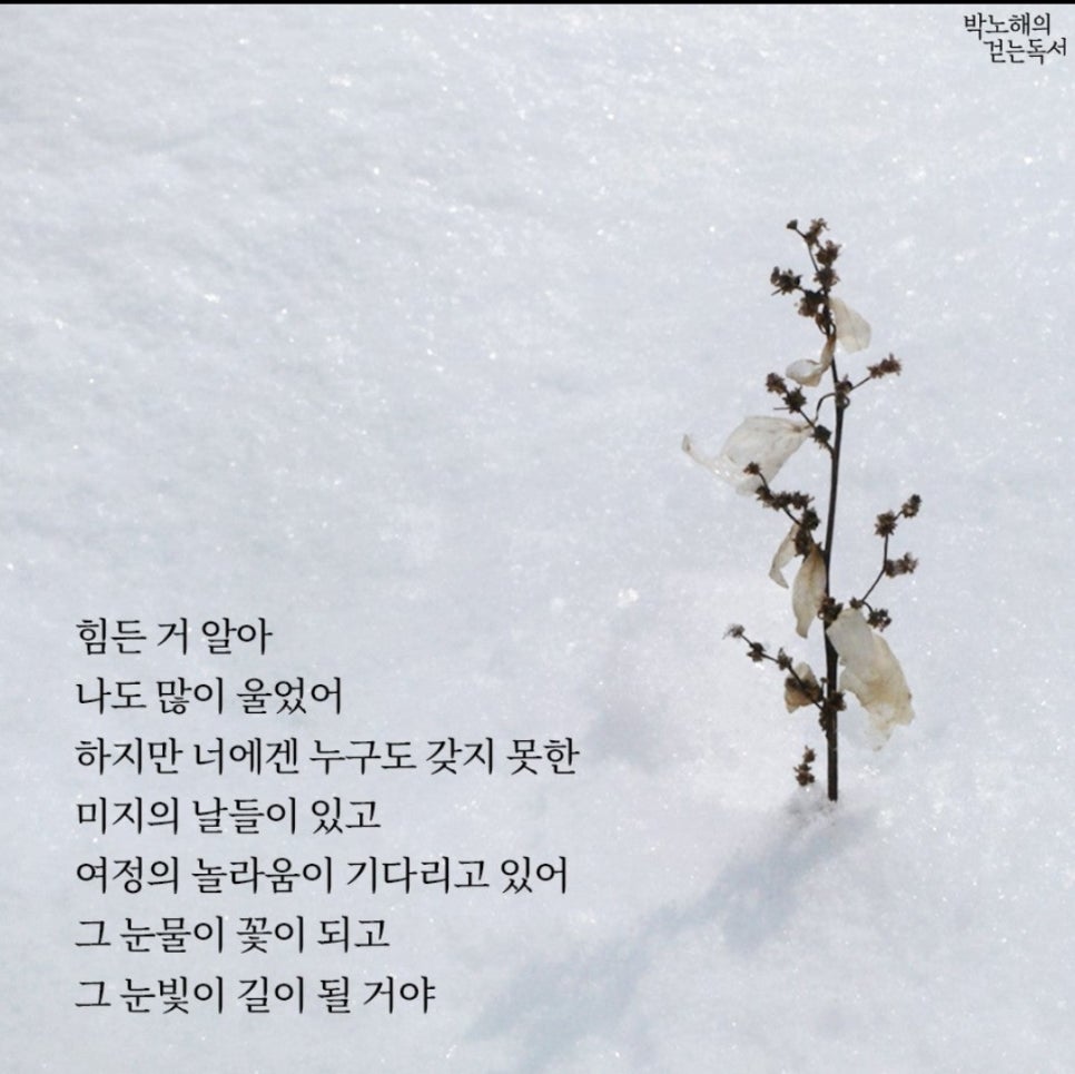 프로젝트36 이미지