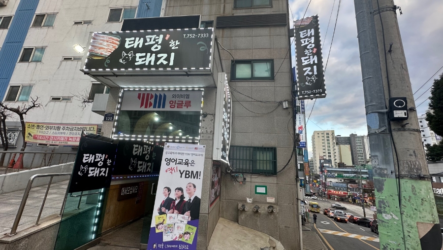 태평한돼지 이미지