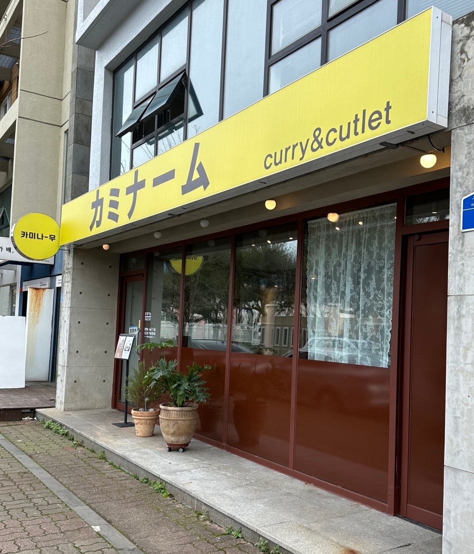 카미나무 이미지