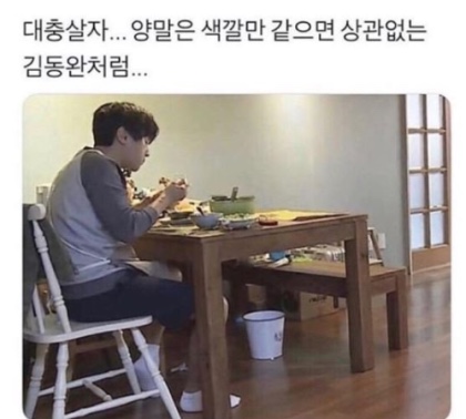 도토 이미지