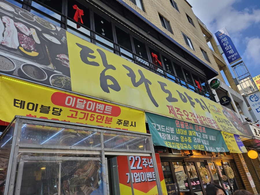 탐라도야지2 이미지