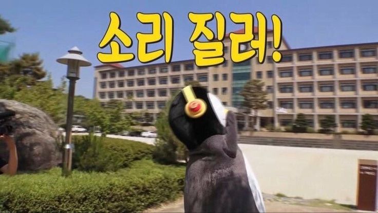퓸즈 이미지