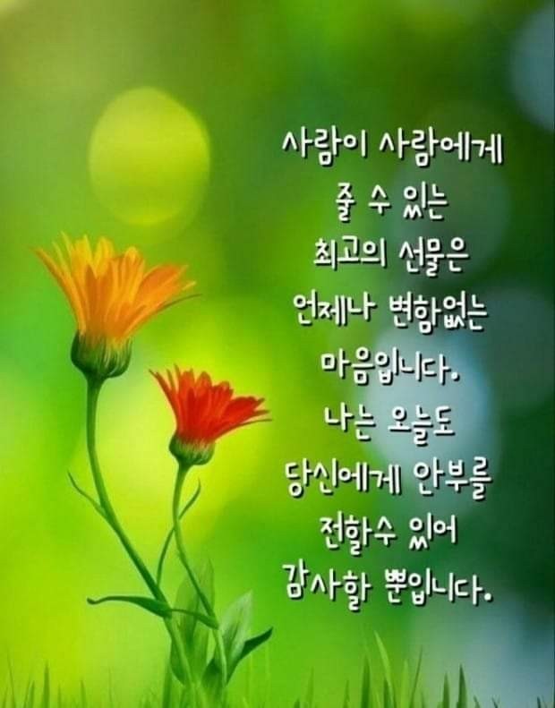 행복법무사 이미지