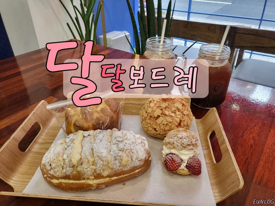 달달보드레 이미지