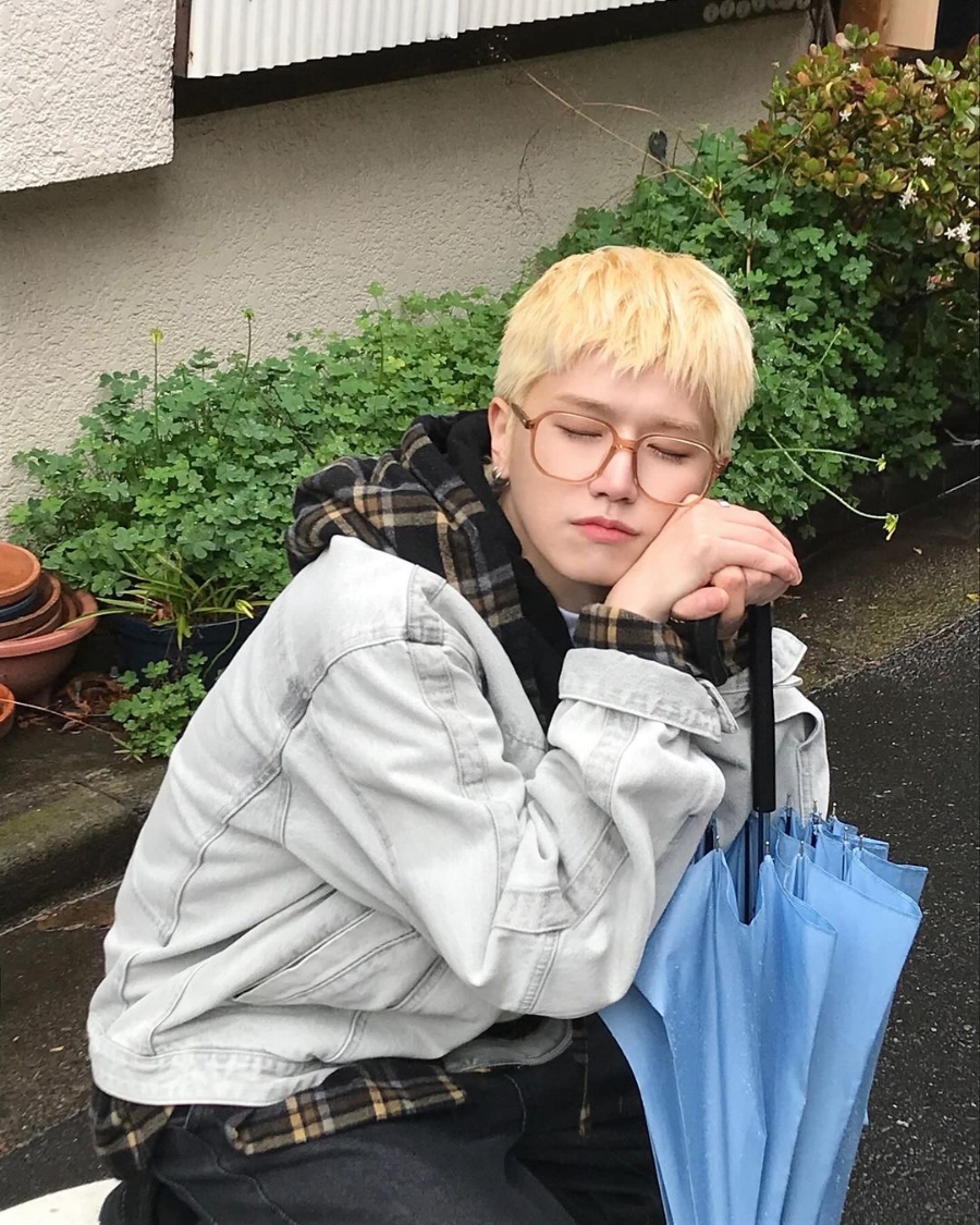 해바 이미지