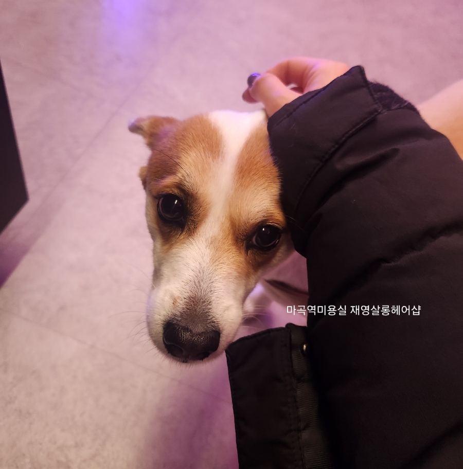 지수헤어샵 이미지