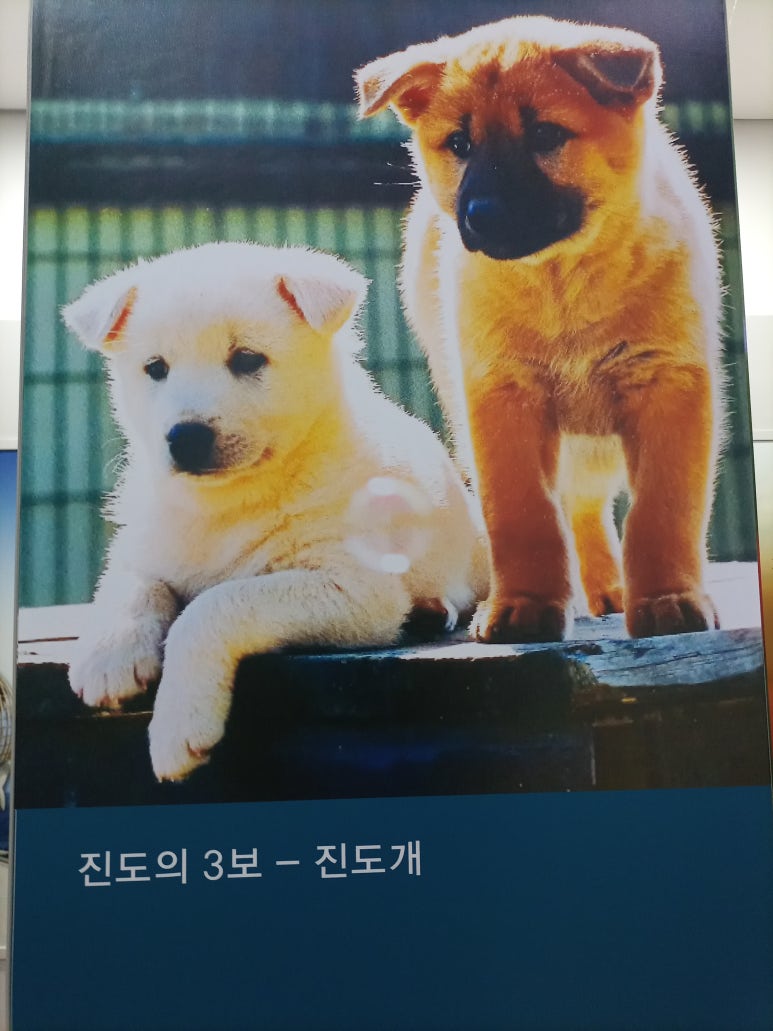 흑룡광고기획 이미지