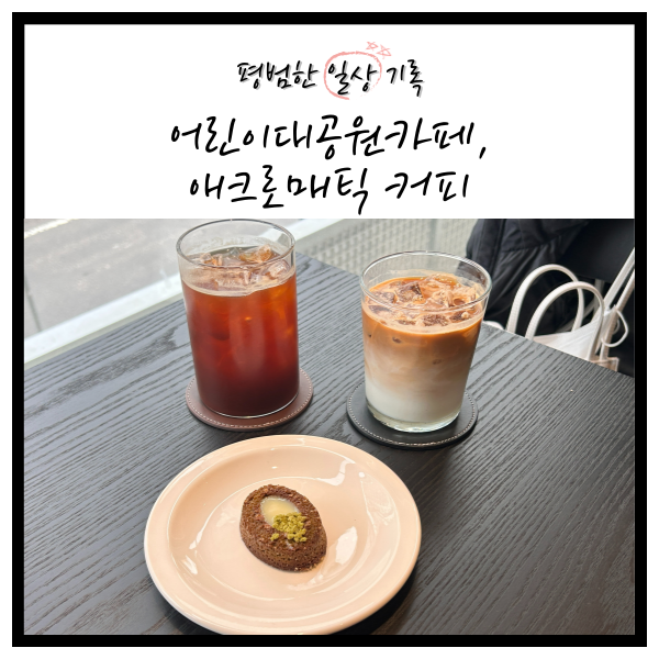 애크로매틱어린이대공원 이미지