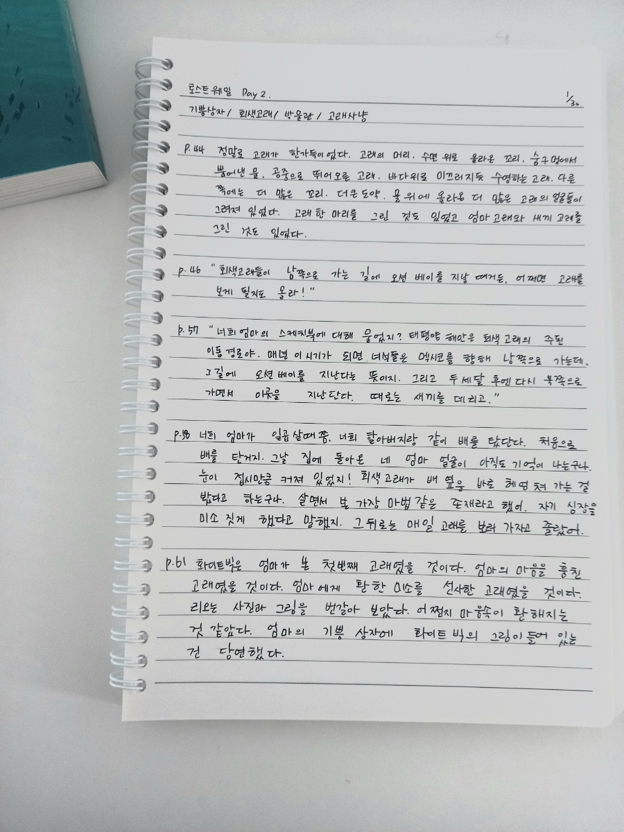 슬로우26 이미지