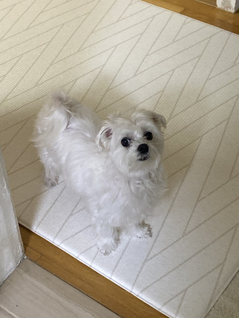 오티움디자인 이미지