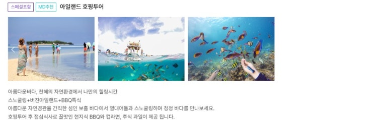 돌핀리조트 이미지