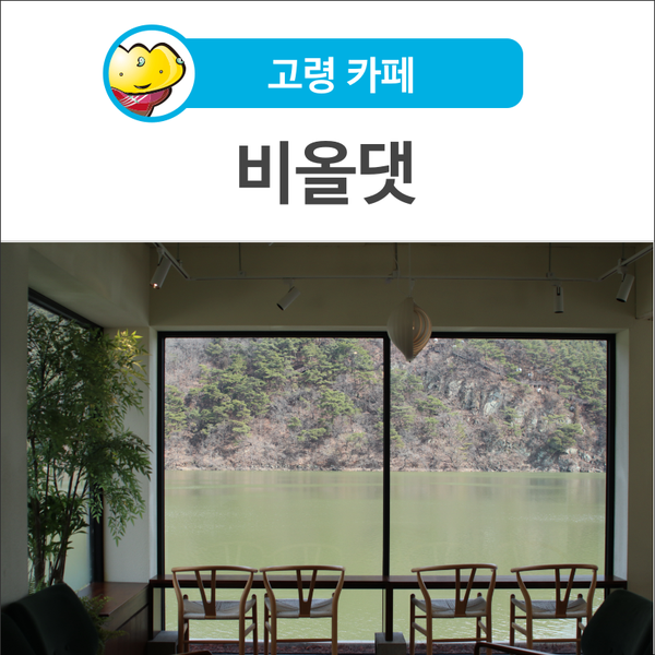 비올댓 이미지