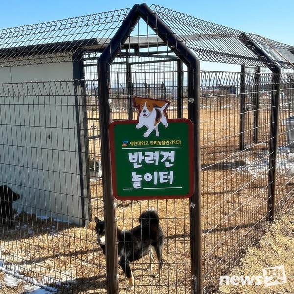 여왕의놀이터 이미지