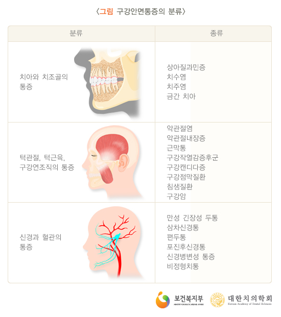 경북대학교 치과대학 이미지