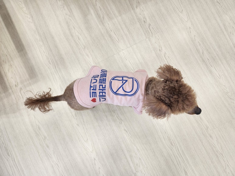 감탄아름 이미지