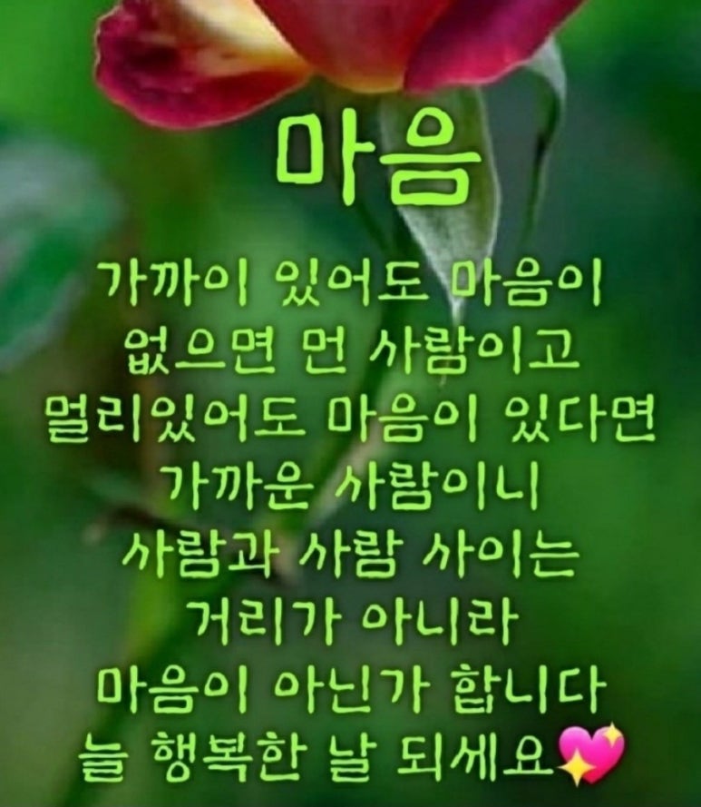 행복법무사 이미지