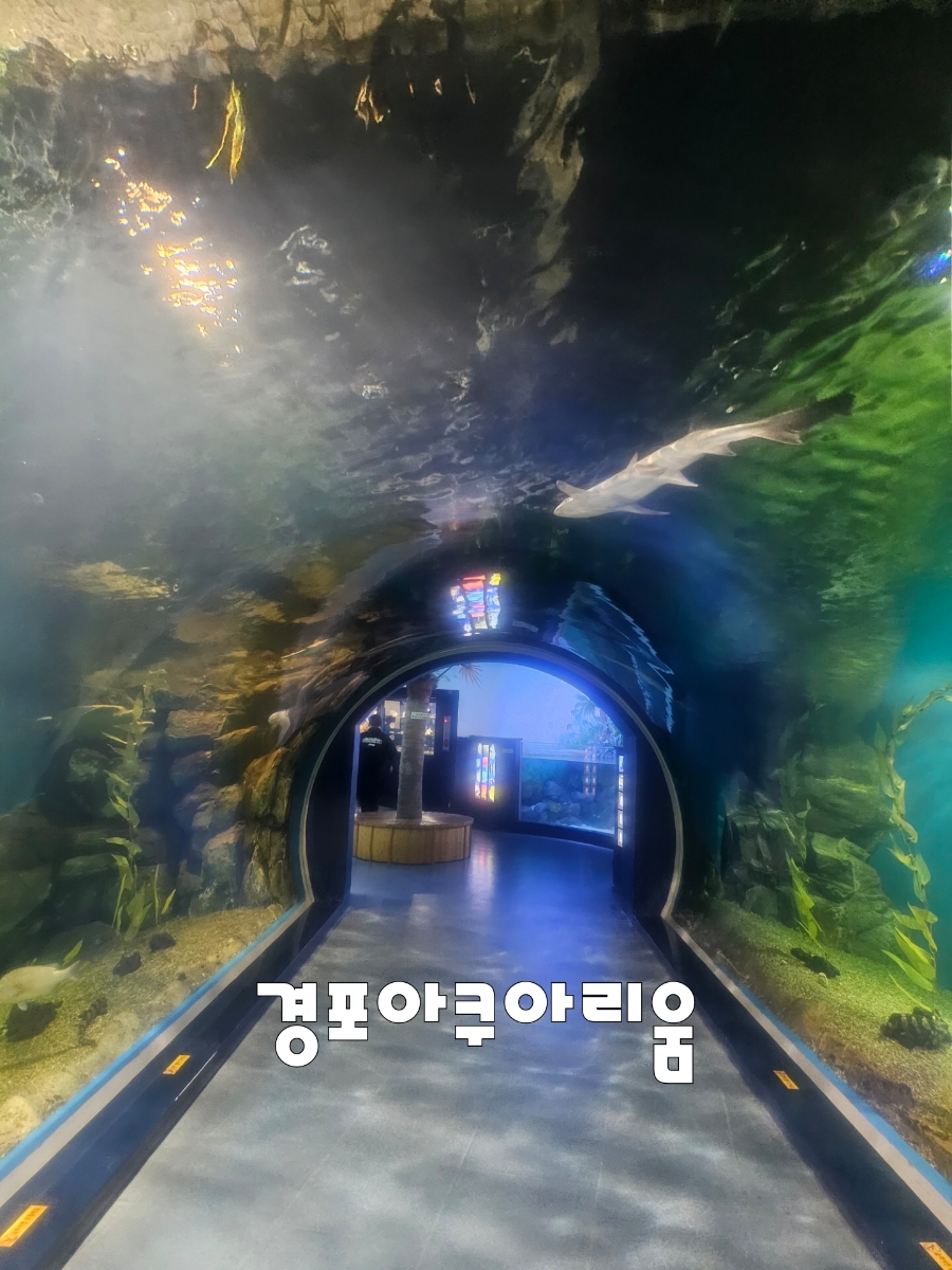 (주)경포아쿠아리움 이미지