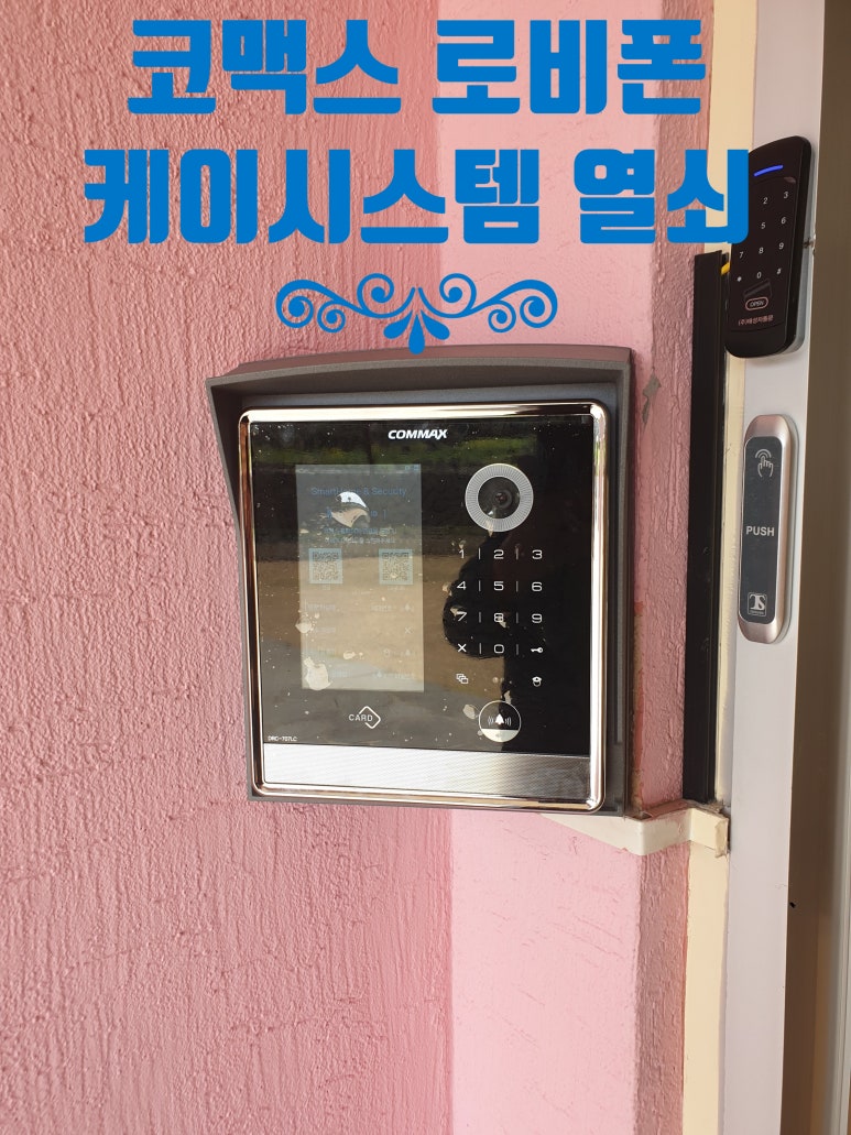 제주코맥스 이미지